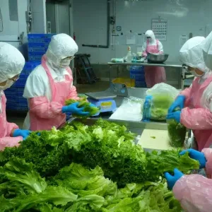 Đơn Hàng BẢO NAM Giai Lý – Đài Nam